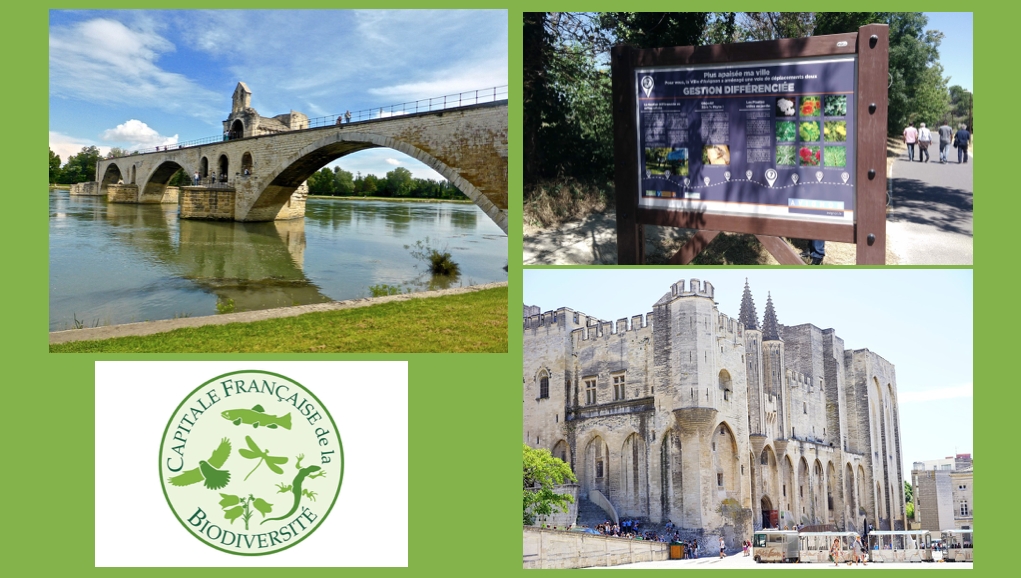 Avignon : élue Capitale régionale de la biodiversité